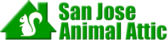 San Jose Animal Attic